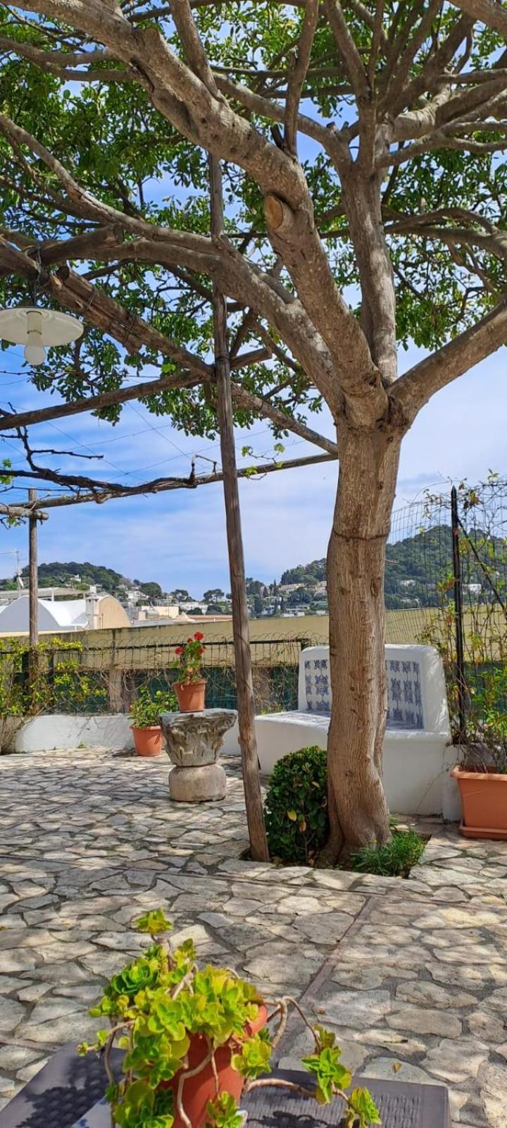 Giardini Luxury Maison d'hôtes Capri